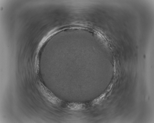 X0000085810343200703231341