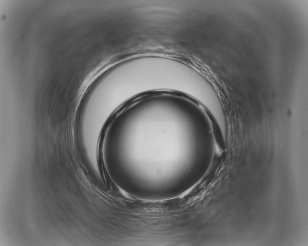 X0000085810344200703231341