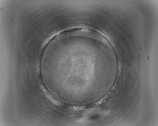 X0000085810345200703231341