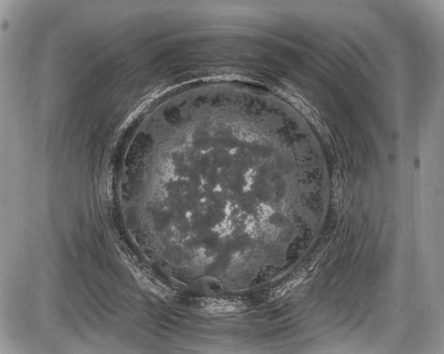 X0000085810347200703231341