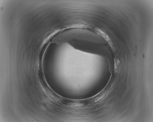 X0000085810348200703231342