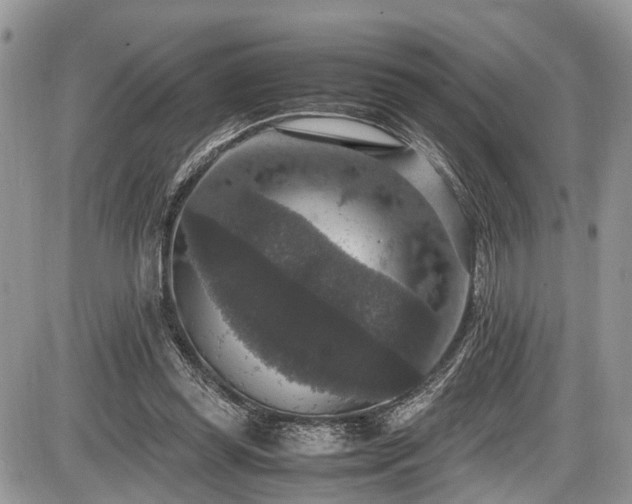 X0000085810349200703231342