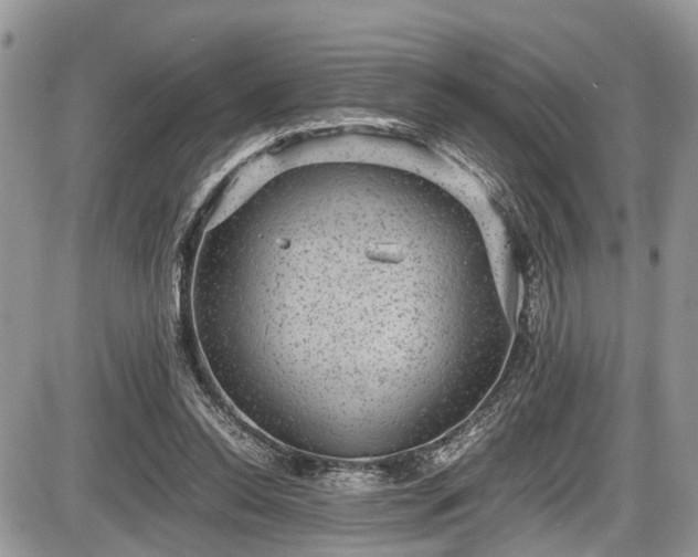 X0000085810350200703231342