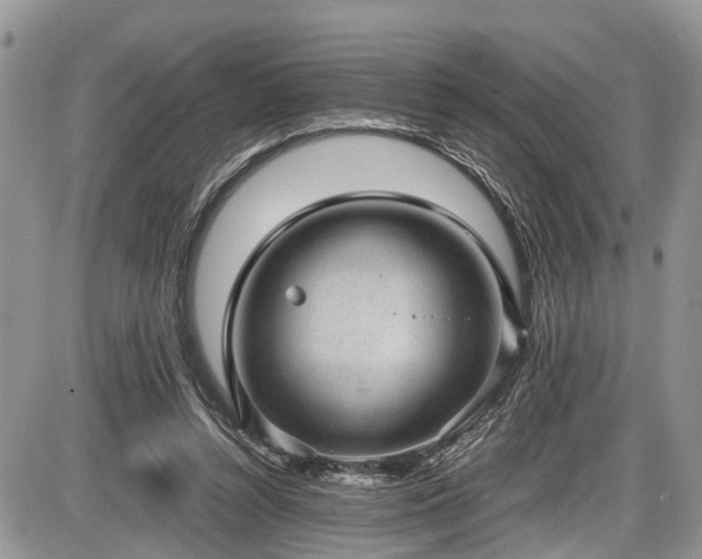 X0000085810352200703231342