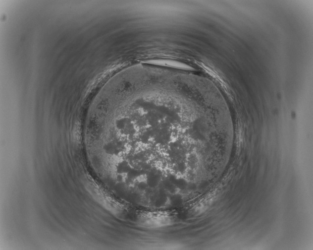 X0000085810353200703231342