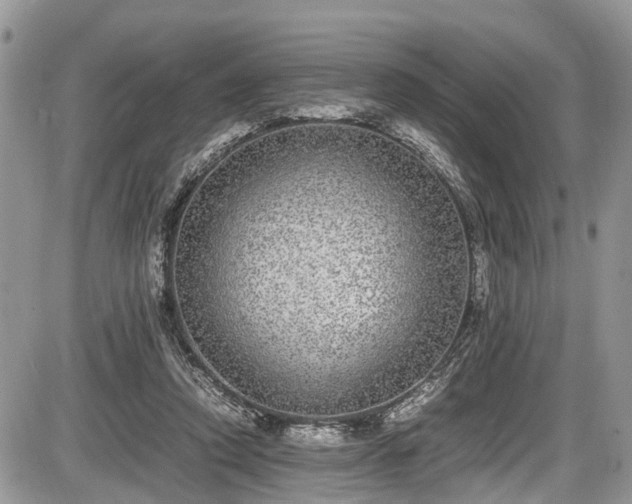 X0000085810354200703231342