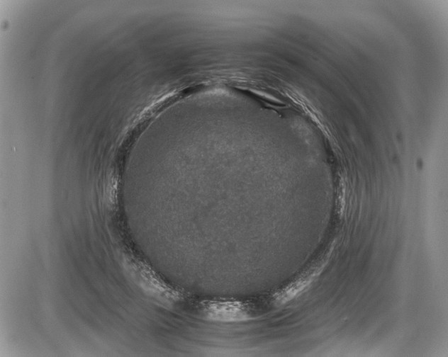 X0000085810355200703231342