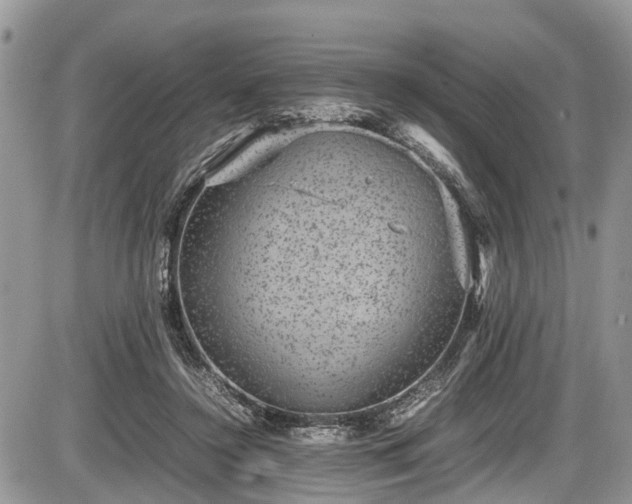 X0000085810356200703231342