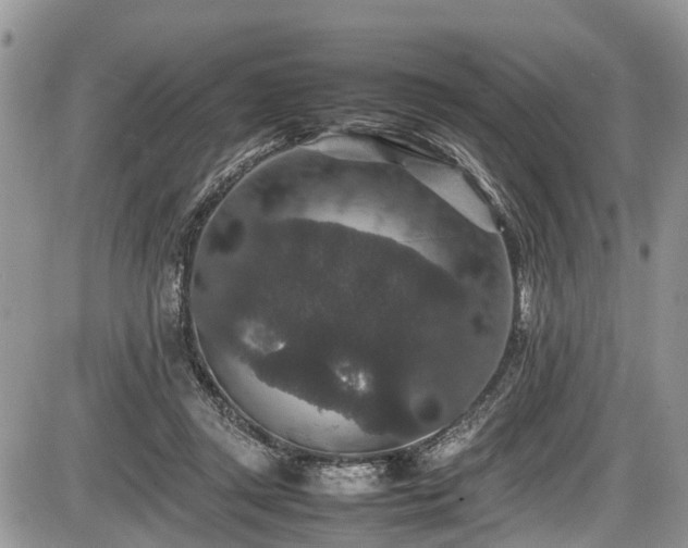 X0000085810357200703231342