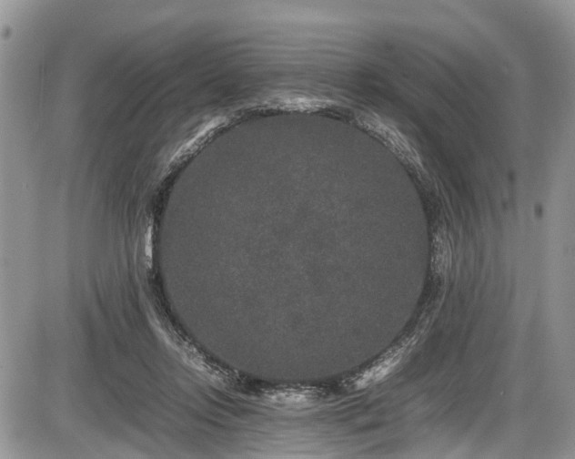 X0000085810358200703231342