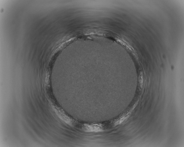 X0000085810359200703231342