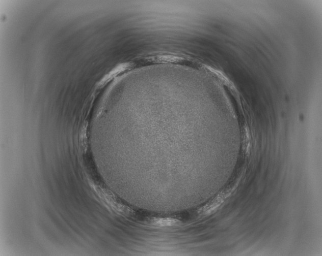 X0000085810360200703231342