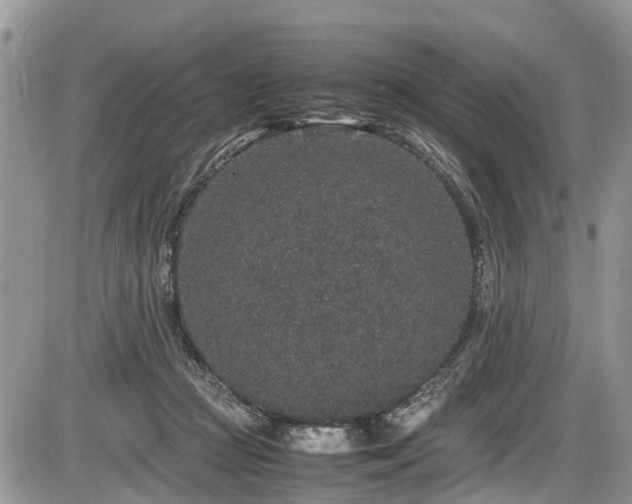 X0000085810361200703231342