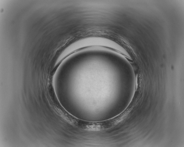 X0000085810362200703231342