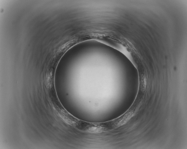 X0000085810364200703231342