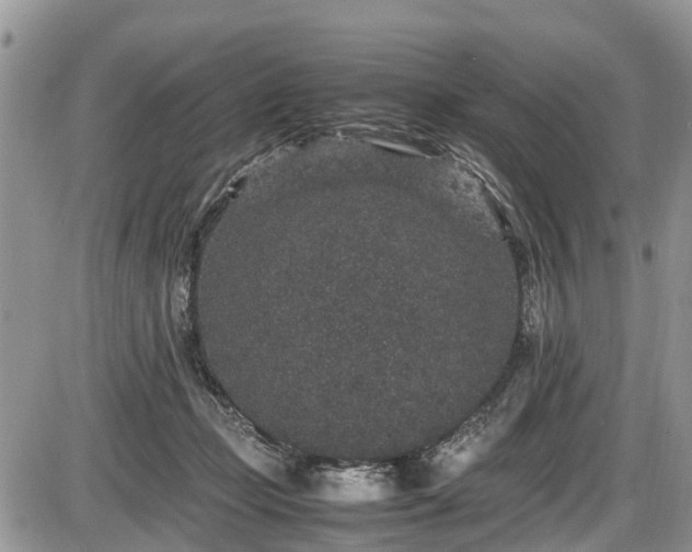 X0000085810365200703231342