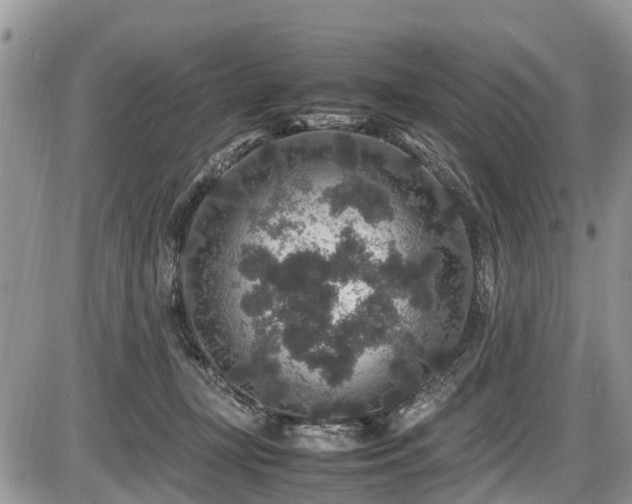 X0000085810367200703231342