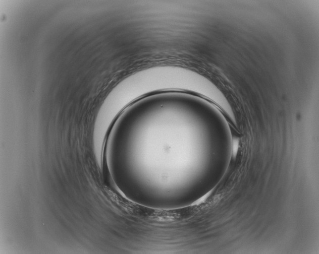 X0000085810368200703231342