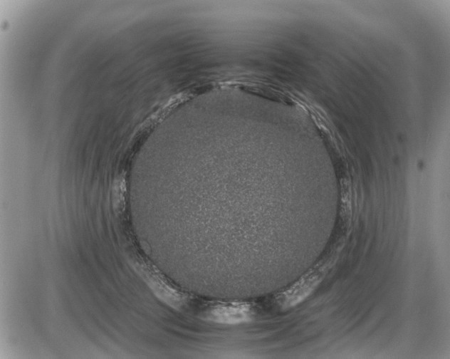 X0000085810369200703231342