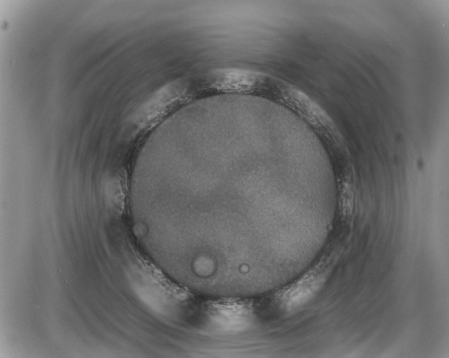 X0000085810370200703231342