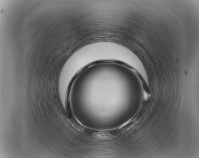 X0000085810372200703231342