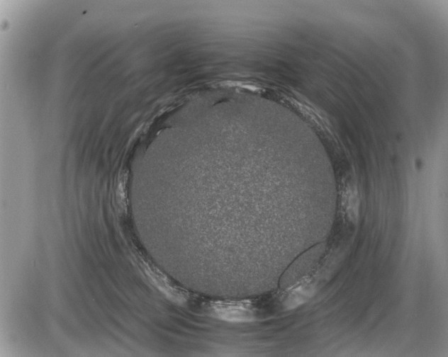 X0000085810373200703231342