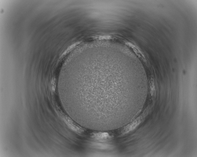 X0000085810374200703231342