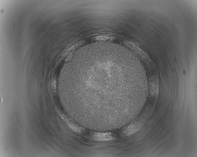 X0000085810375200703231342