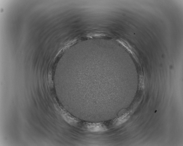 X0000085810377200703231342