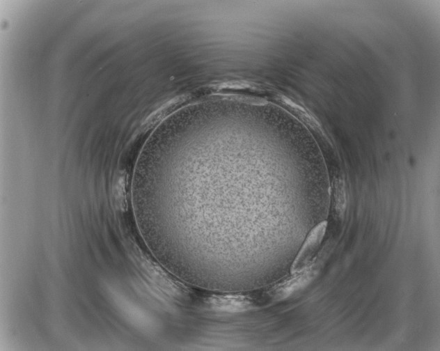 X0000085810378200703231342