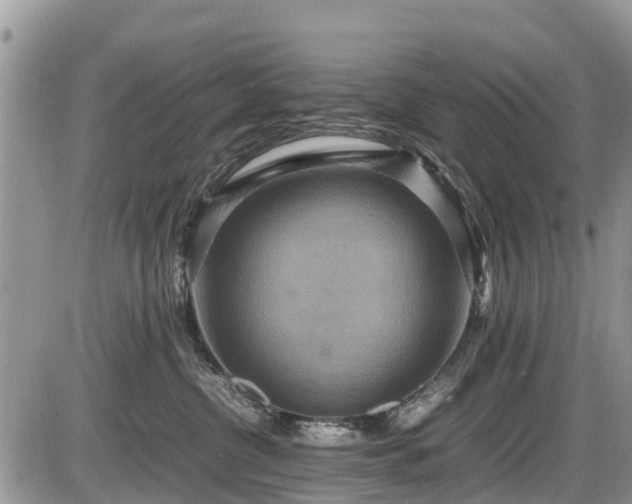 X0000085810380200703231342