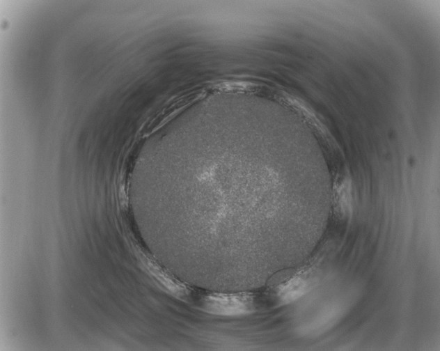 X0000085810381200703231342