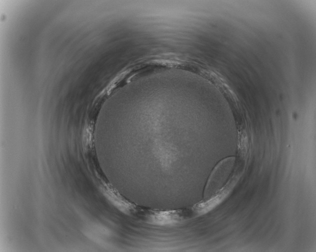 X0000085810382200703231342