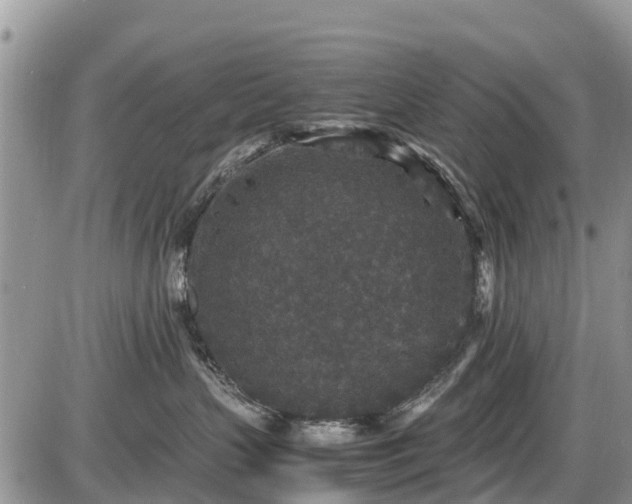 X0000085810383200703231342