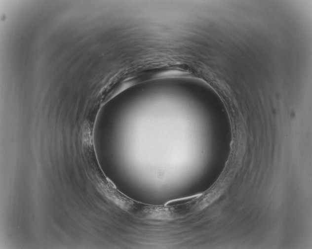 X0000085810384200703231342