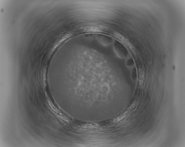 X0000085810386200703231341