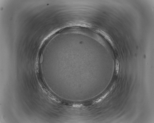 X0000085810388200703231341