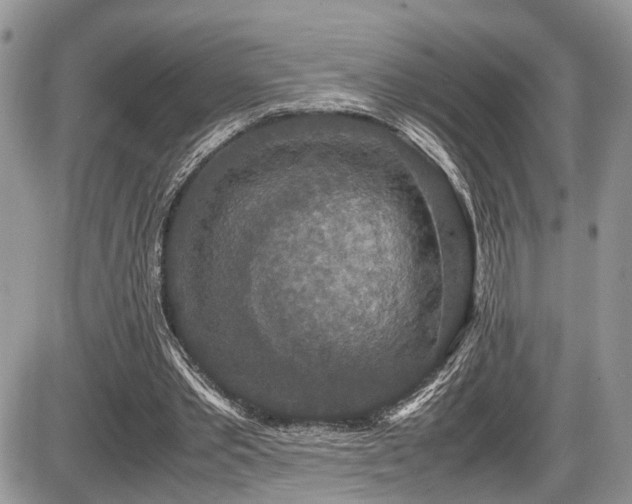 X0000085810389200703231341