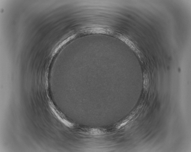 X0000085810390200703231341