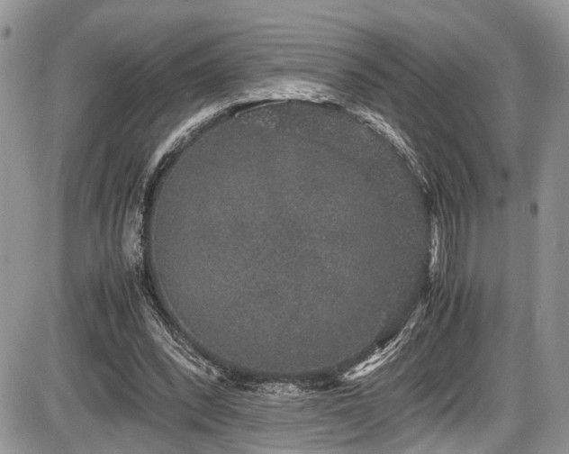 X0000085810392200703231341