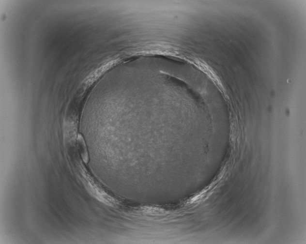 X0000085810393200703231341