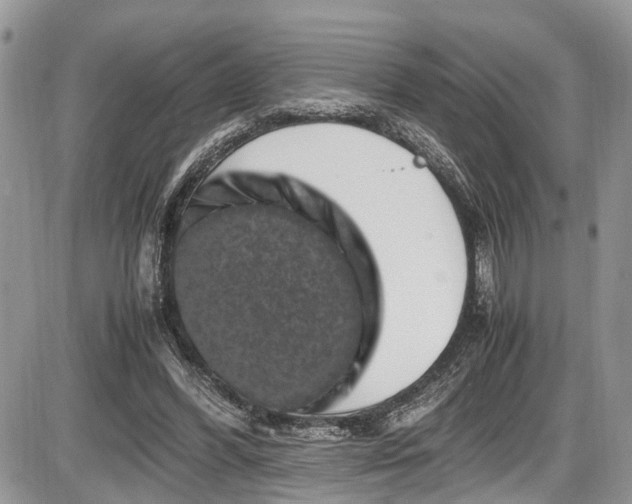 X0000085810396200703231341