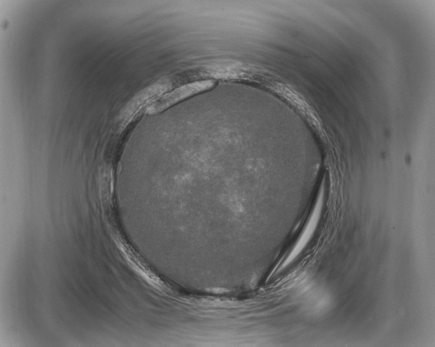 X0000085810397200703231341