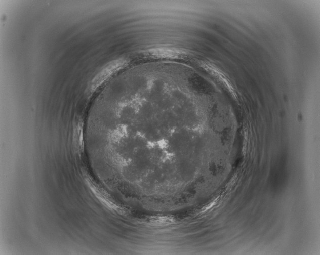 X0000085810398200703231341