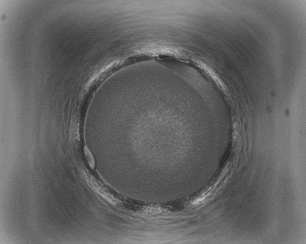 X0000085810399200703231341