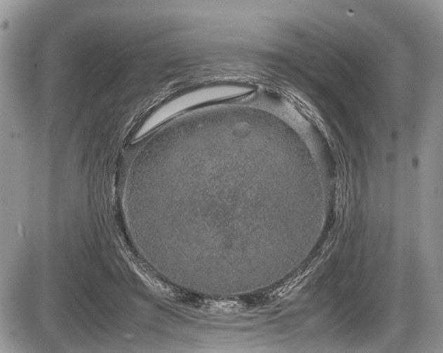 X0000085810401200703231341