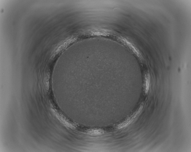 X0000085810402200703231341