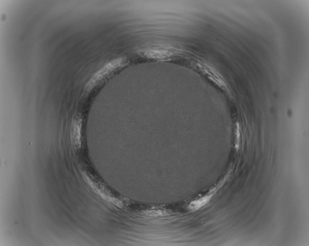 X0000085810404200703231341