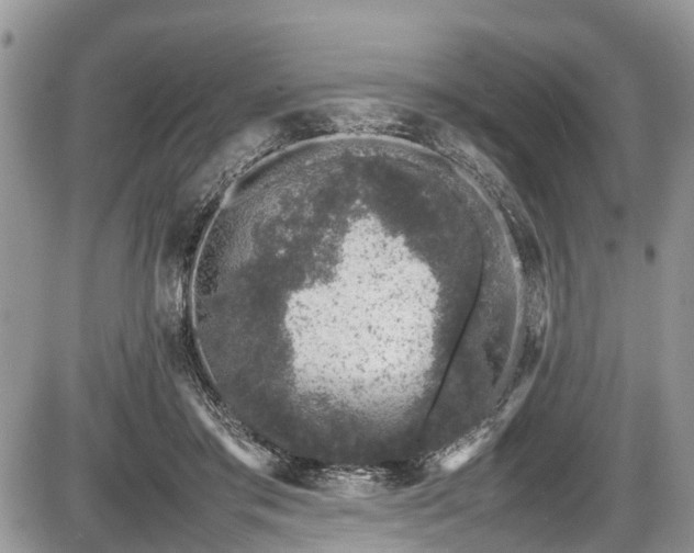 X0000085810405200703231341