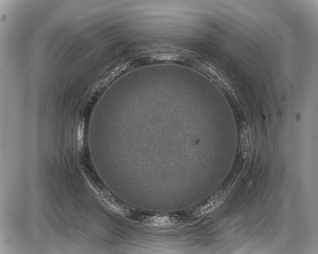 X0000085810406200703231341